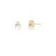 Brinco Gota Cristal