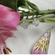 Brinco Flor Prateada