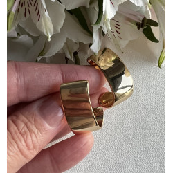 Brinco Argola Dourada