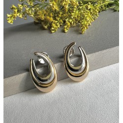 Brinco Dourado e Prateado
